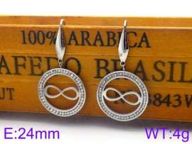 Stainless Steel Stone&Crystal Earring