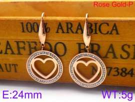 Stainless Steel Stone&Crystal Earring