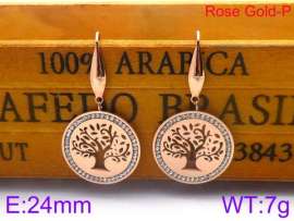 Stainless Steel Stone&Crystal Earring