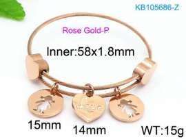 Stainless Steel Wire Bangle