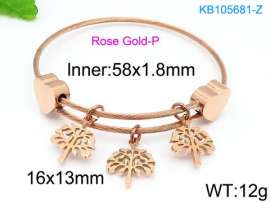 Stainless Steel Wire Bangle