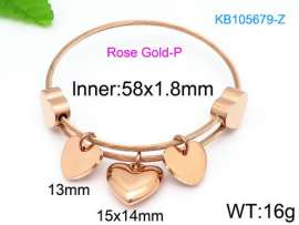 Stainless Steel Wire Bangle