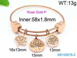 Stainless Steel Wire Bangle