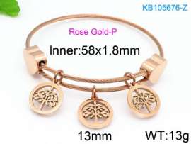 Stainless Steel Wire Bangle