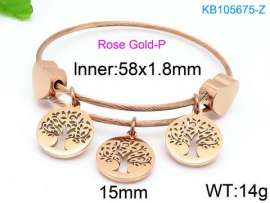 Stainless Steel Wire Bangle