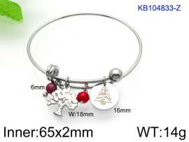 Stainless Steel Bangle