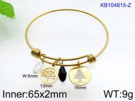 Stainless Steel Gold-plating Bangle