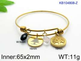 Stainless Steel Gold-plating Bangle