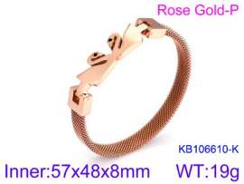 Stainless Steel Rose Gold-plating Bangle