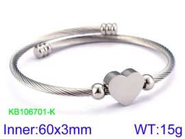 Stainless Steel Wire Bangle