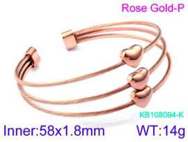 Stainless Steel Wire Bangle