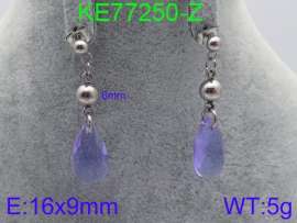 Stainless Steel Stone&Crystal Earring