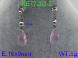 Stainless Steel Stone&Crystal Earring
