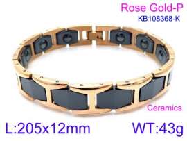 Stainless steel with Ceramic Bracelet