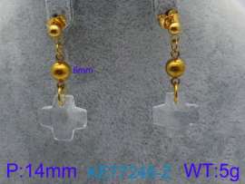 Stainless Steel Stone&Crystal Earring