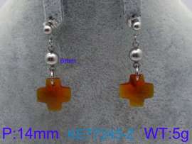 Stainless Steel Stone&Crystal Earring