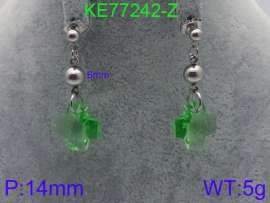 Stainless Steel Stone&Crystal Earring