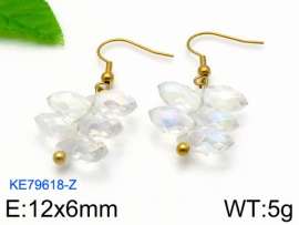 Stainless Steel Stone&Crystal Earring