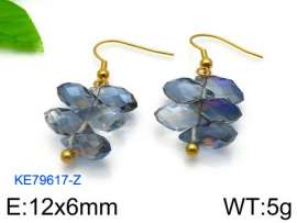 Stainless Steel Stone&Crystal Earring