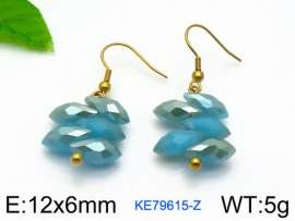 Stainless Steel Stone&Crystal Earring