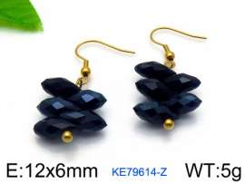 Stainless Steel Stone&Crystal Earring
