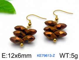 Stainless Steel Stone&Crystal Earring