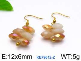 Stainless Steel Stone&Crystal Earring