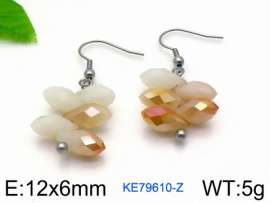 Stainless Steel Stone&Crystal Earring