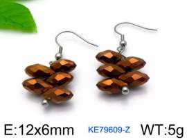 Stainless Steel Stone&Crystal Earring