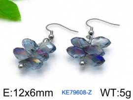 Stainless Steel Stone&Crystal Earring