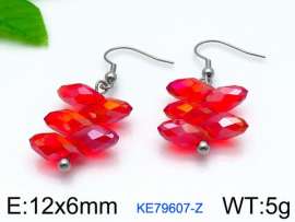 Stainless Steel Stone&Crystal Earring