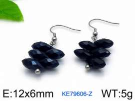 Stainless Steel Stone&Crystal Earring