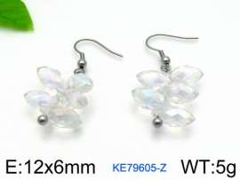 Stainless Steel Stone&Crystal Earring