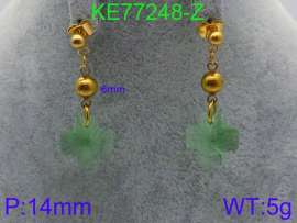 Stainless Steel Stone&Crystal Earring