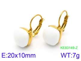 Stainless Steel Stone&Crystal Earring