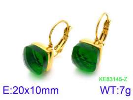 Stainless Steel Stone&Crystal Earring