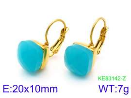 Stainless Steel Stone&Crystal Earring