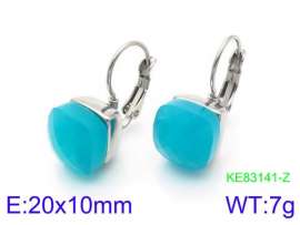Stainless Steel Stone&Crystal Earring