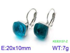 Stainless Steel Stone&Crystal Earring