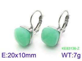 Stainless Steel Stone&Crystal Earring