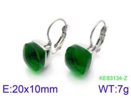 Stainless Steel Stone&Crystal Earring