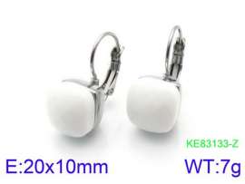 Stainless Steel Stone&Crystal Earring
