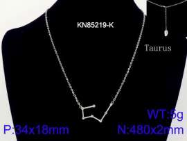 Stainless Steel Necklace