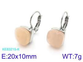 Stainless Steel Stone&Crystal Earring