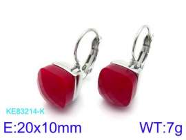 Stainless Steel Stone&Crystal Earring