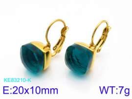 Stainless Steel Stone&Crystal Earring