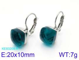 Stainless Steel Stone&Crystal Earring