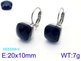Stainless Steel Stone&Crystal Earring