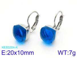 Stainless Steel Stone&Crystal Earring