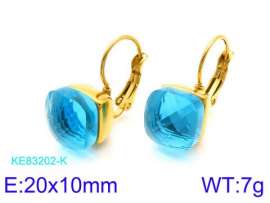 Stainless Steel Stone&Crystal Earring